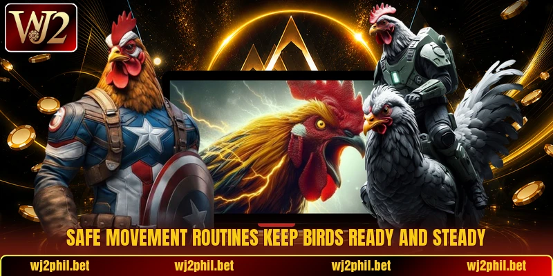 Safe movement routines keep birds ready and steady