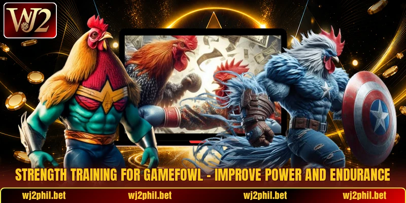 Strength Training For Gamefowl – Improve Power And Endurance